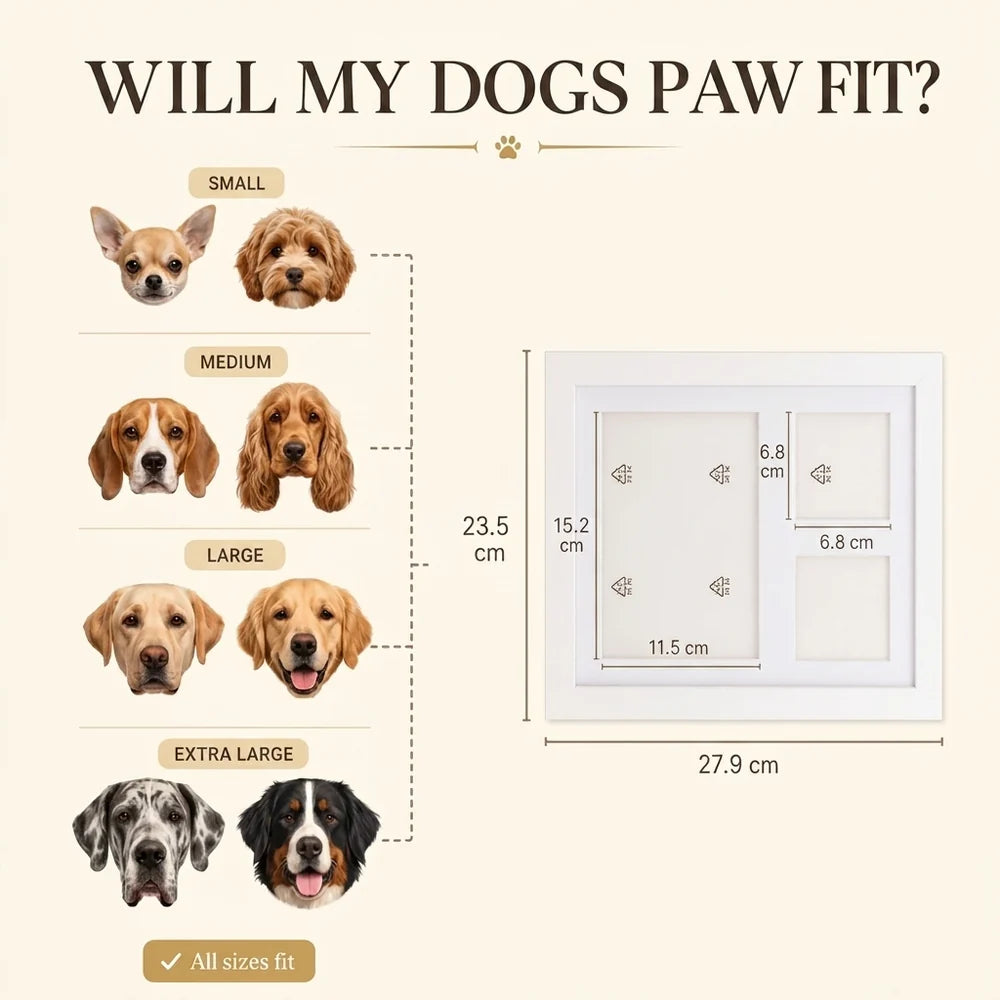 Clay Paw Print Kit